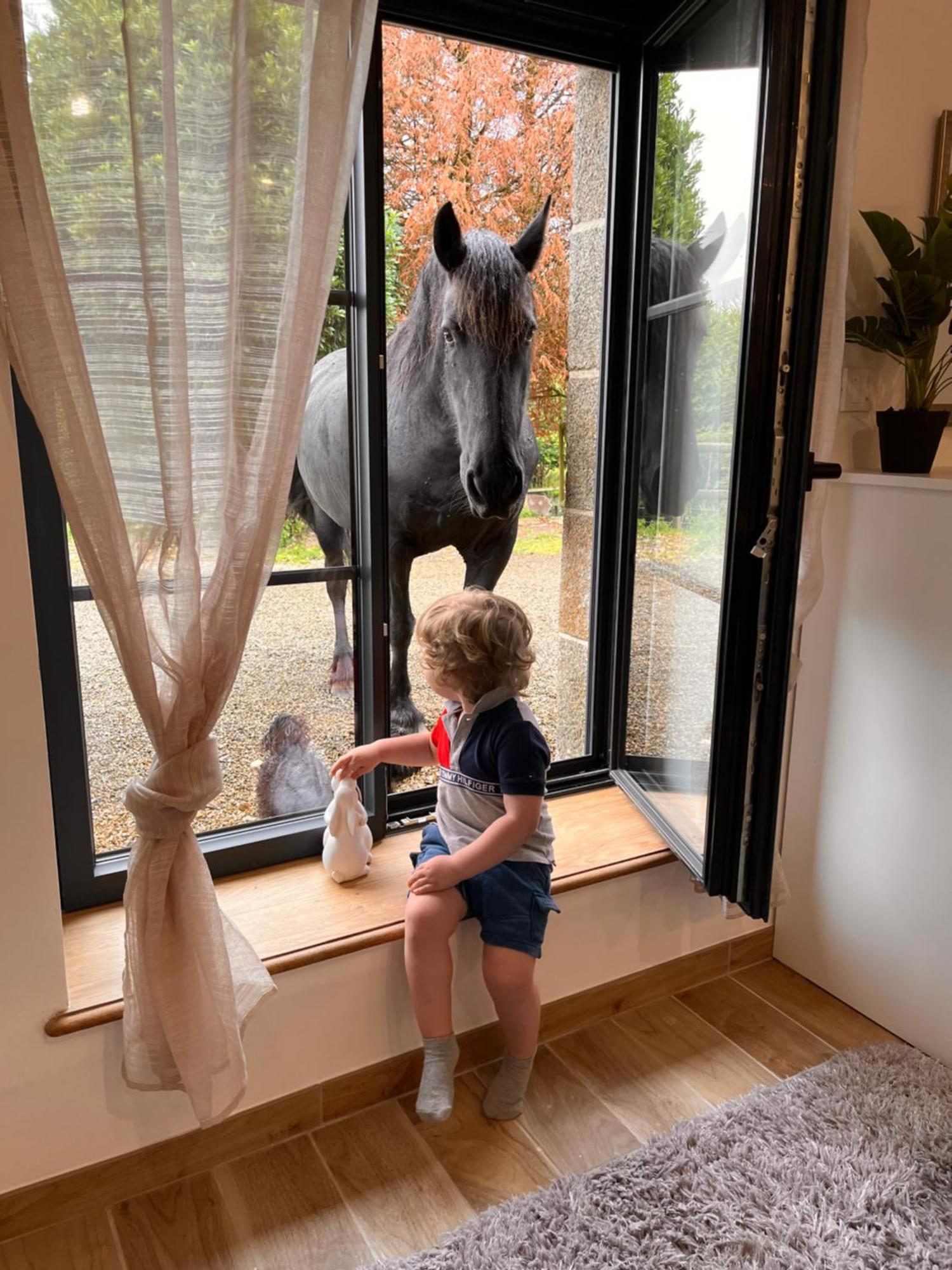 Madelaine Ranch, Nouvelle Piscine 2025 Villa Le Gast Eksteriør bilde